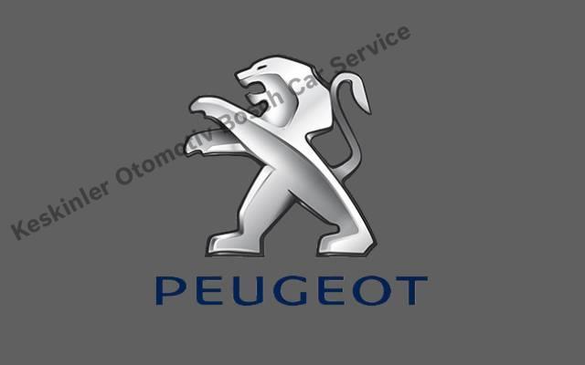 Ankara Peugeot Servisi